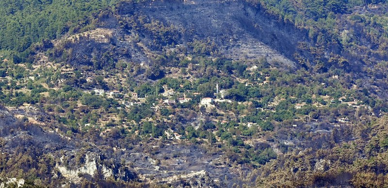 Muğla'da yangın faciası