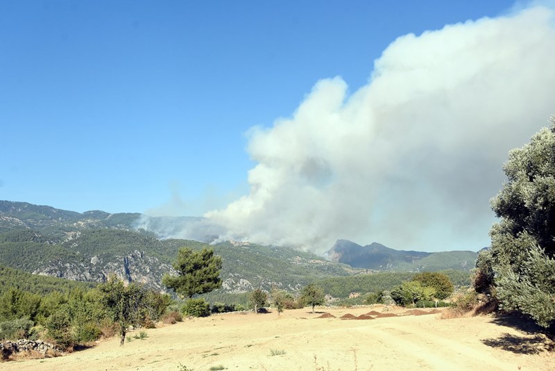 Muğla'da yangın faciası