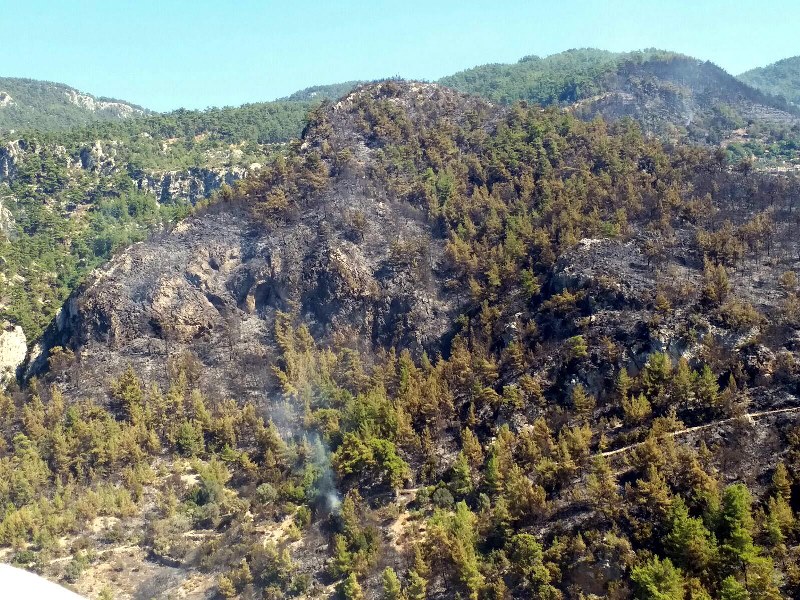 Muğla'da yangın faciası