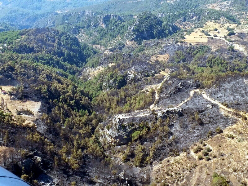 Muğla'da yangın faciası