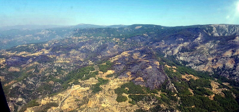 Muğla'da yangın faciası