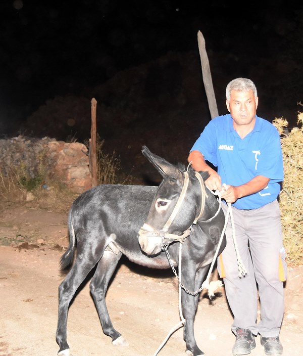 Muğla'da yangın faciası