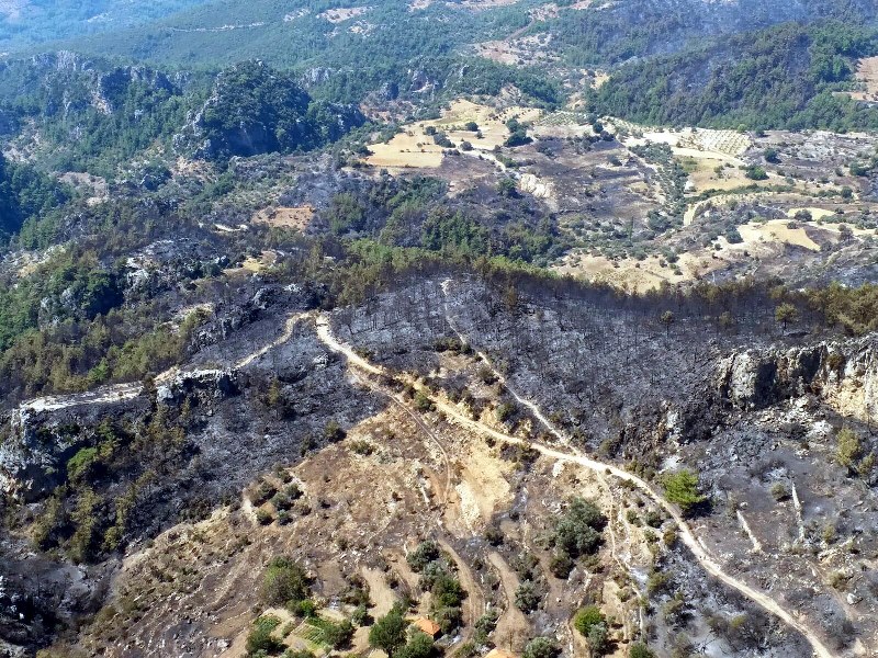 Muğla'da yangın faciası