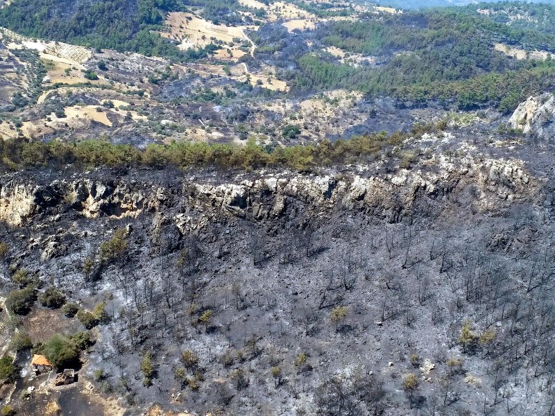 Muğla'da yangın faciası