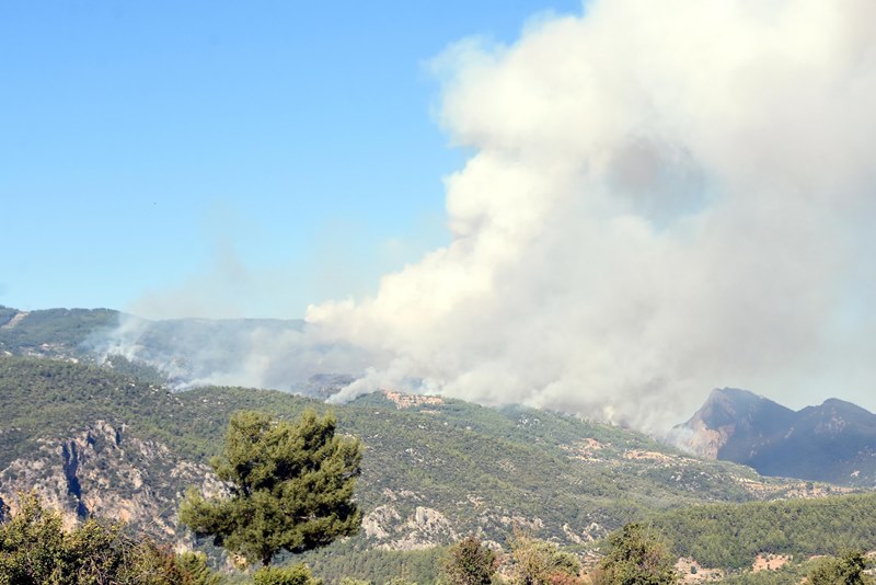 Muğla'da yangın faciası