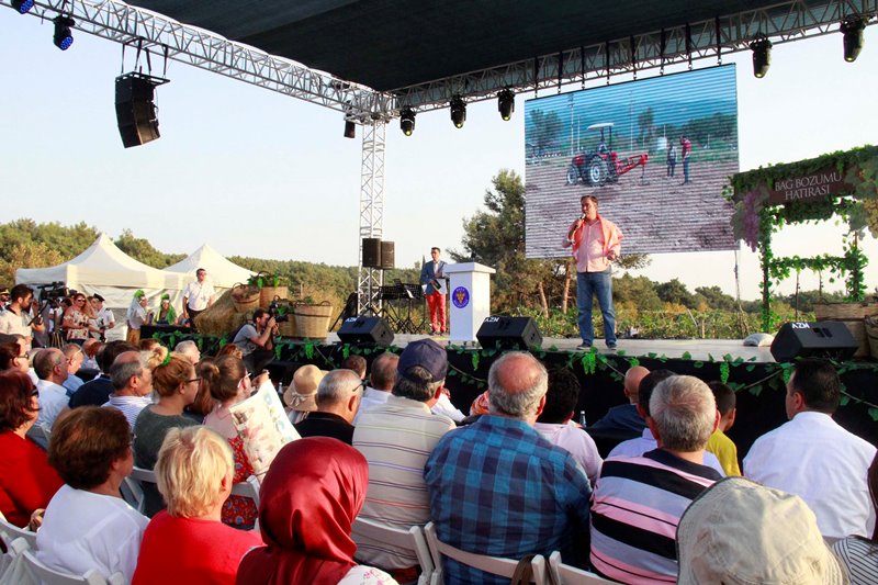 Buca'da hasat zamanı