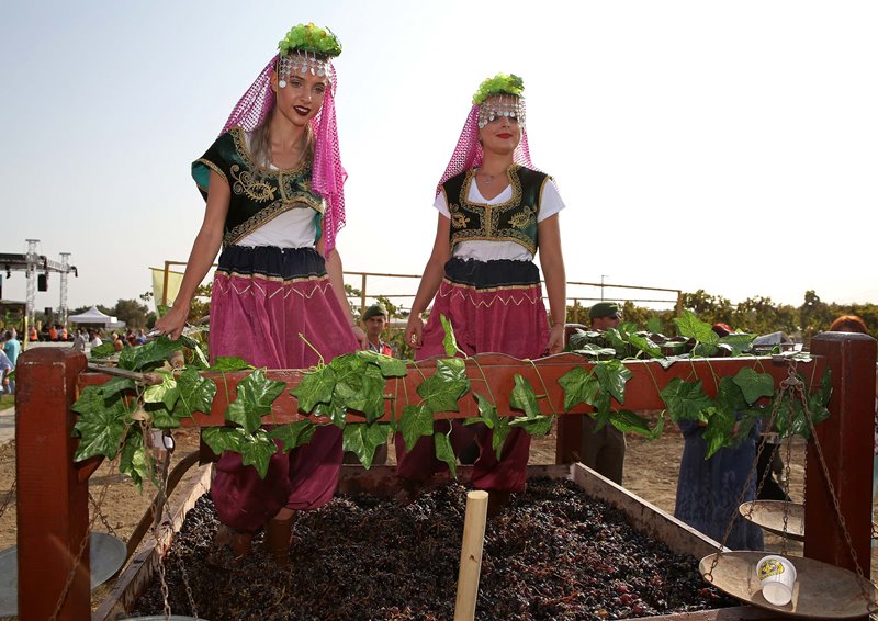 Buca'da hasat zamanı