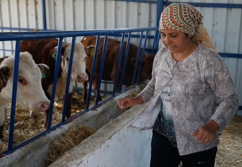 Temizlikçiliği bıraktı çiftlik sahibi oldu
