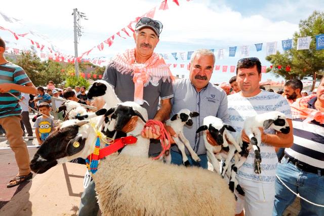 Çeşme'de renkli şenlik