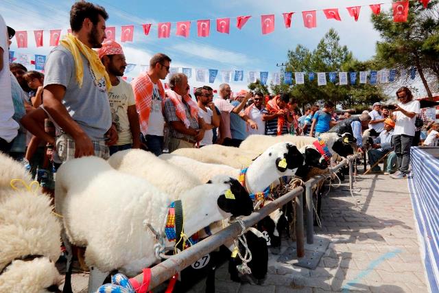 Çeşme'de renkli şenlik
