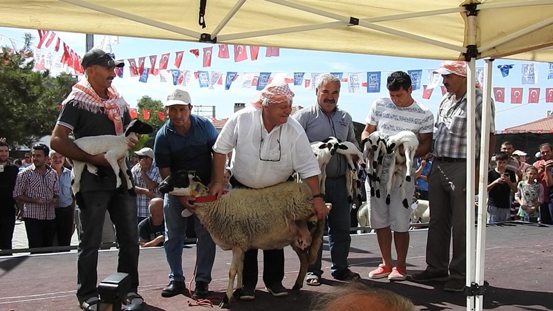 Çeşme'de renkli şenlik