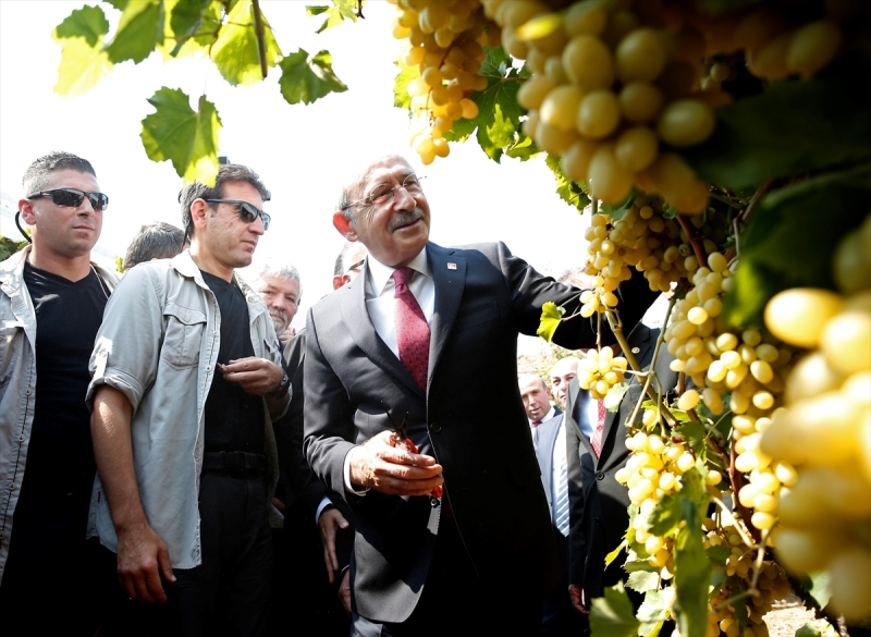 Kılıçdaroğlu asmadan üzüm kesti