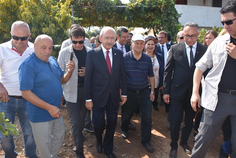 Kılıçdaroğlu asmadan üzüm kesti
