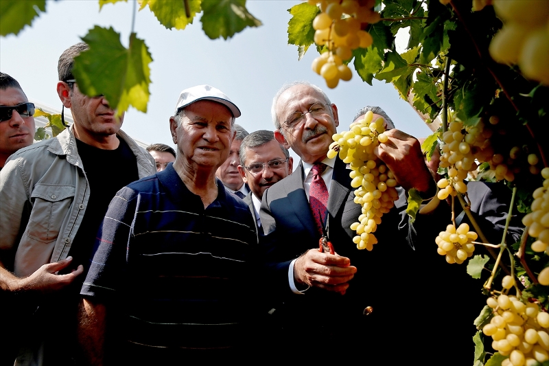 Kılıçdaroğlu asmadan üzüm kesti