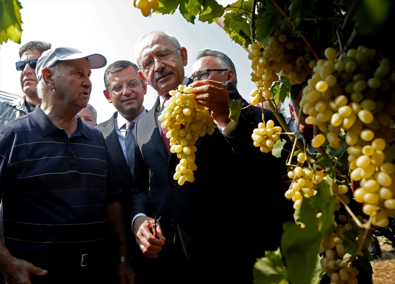 Kılıçdaroğlu asmadan üzüm kesti