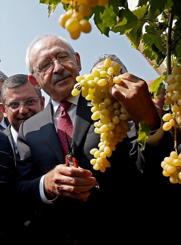 Kılıçdaroğlu asmadan üzüm kesti