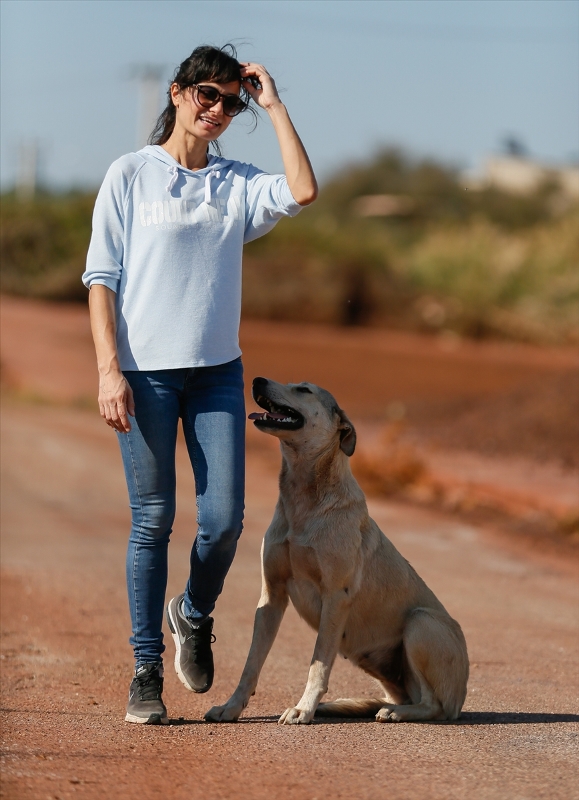 Sahipsiz köpeklerin kurtarıcısı