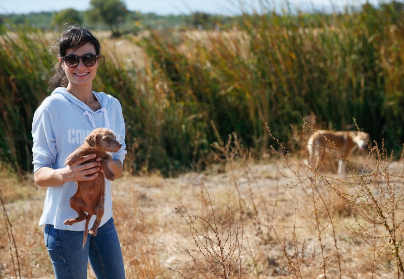 Sahipsiz köpeklerin kurtarıcısı