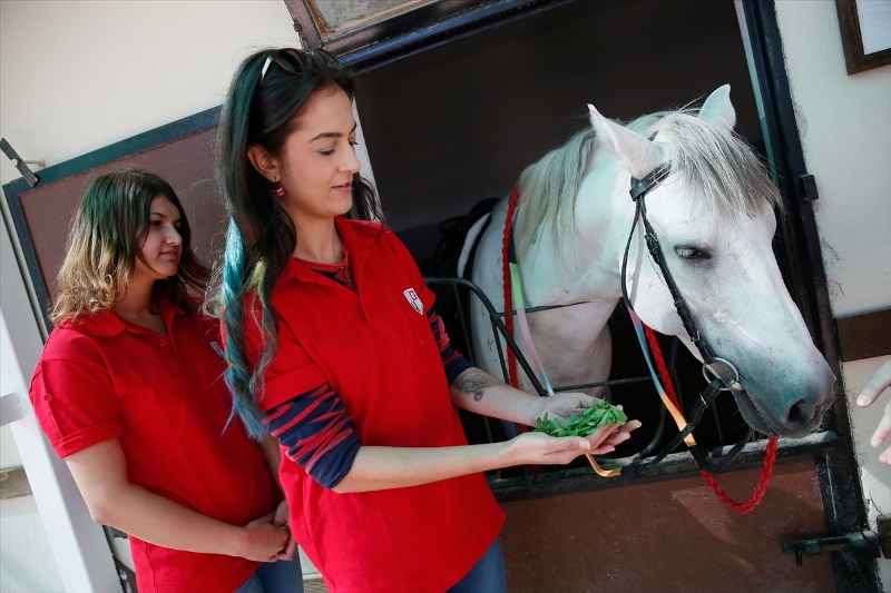 İzmir'de kadın seyisler ezber bozuyor