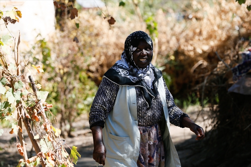 Kökenleri Afrika'dan şiveleri Ege'den