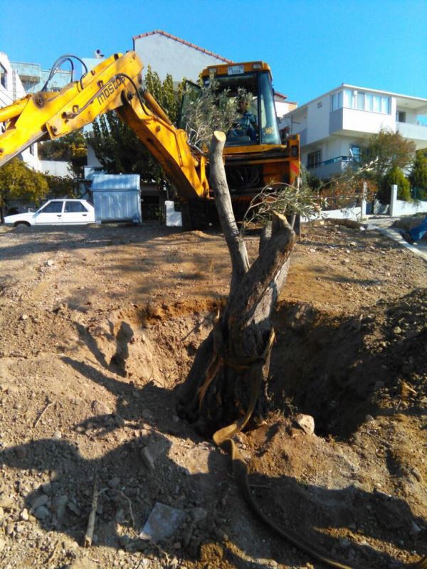 Doğal Yaşam Köyü'ne hayat verecekler