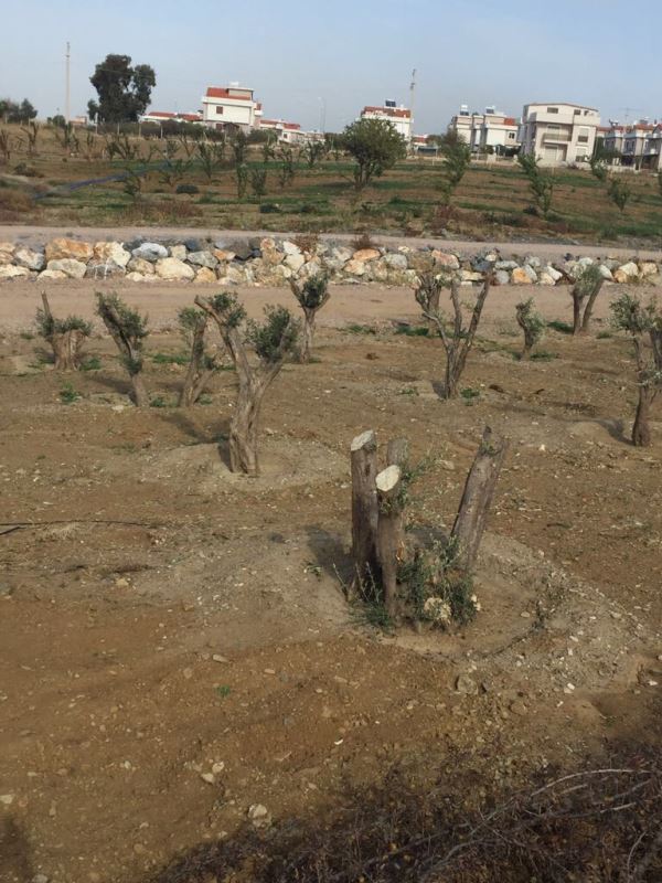 Doğal Yaşam Köyü'ne hayat verecekler