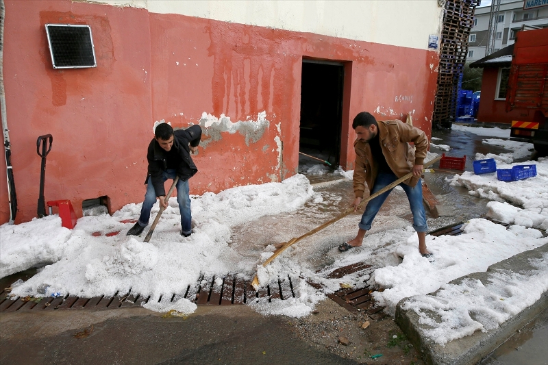 İzmir'de dolu mandalina bahçelerine zarar verdi
