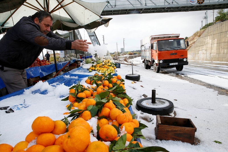 İzmir'de dolu mandalina bahçelerine zarar verdi