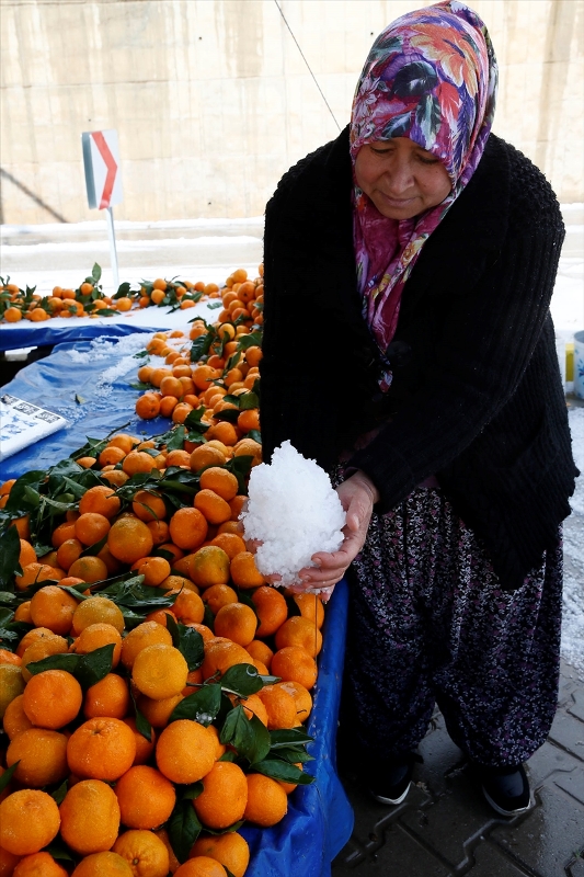 İzmir'de dolu mandalina bahçelerine zarar verdi