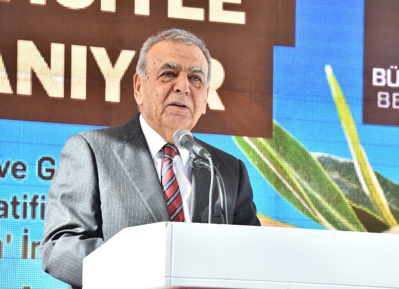 Gödence'de zeytinyağı bayramı