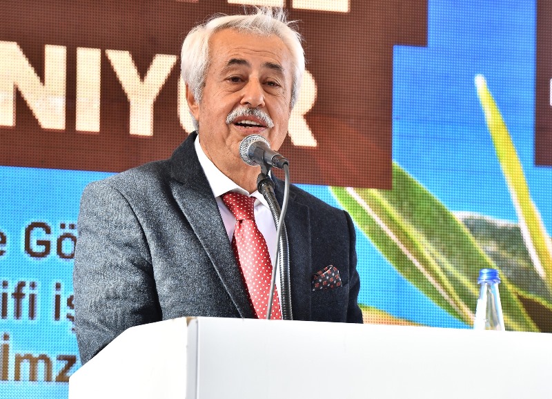 Gödence'de zeytinyağı bayramı