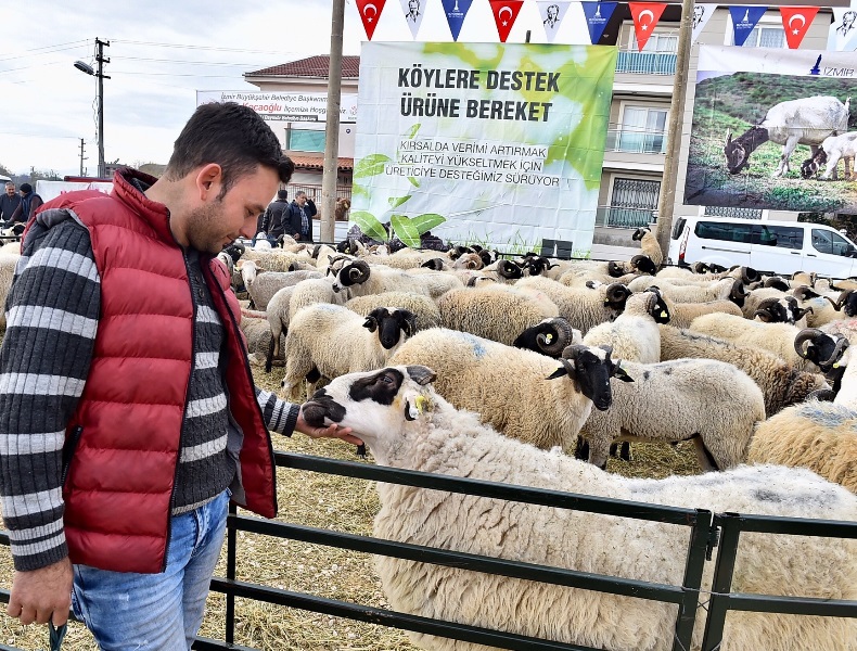 'Umut sürüsü' büyüyor