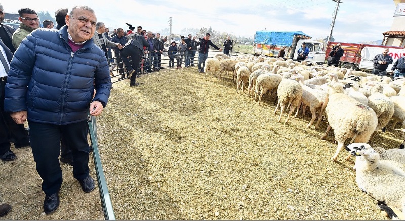 'Umut sürüsü' büyüyor