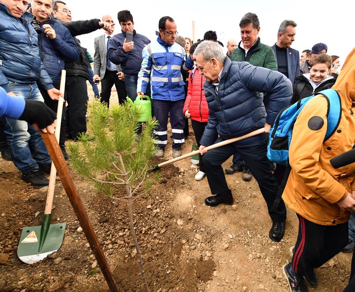 Taş ocağıydı, orman olacak