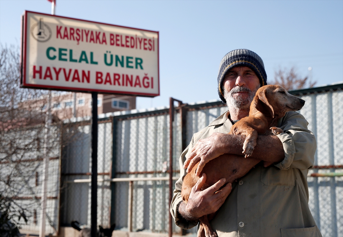 Sokak hayvanlarının fedakar dostu