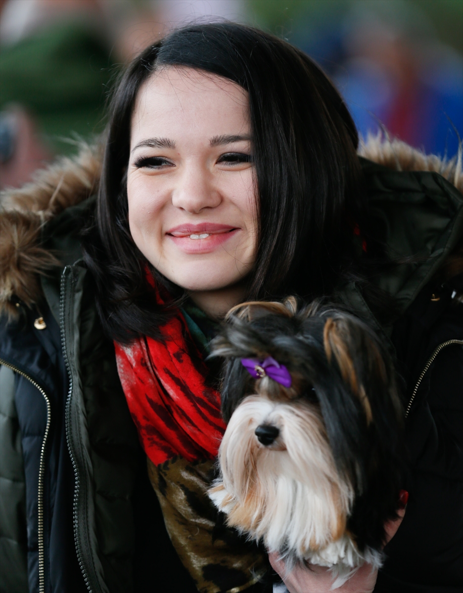 İzmir'de 'köpek ırkları' yarıştı