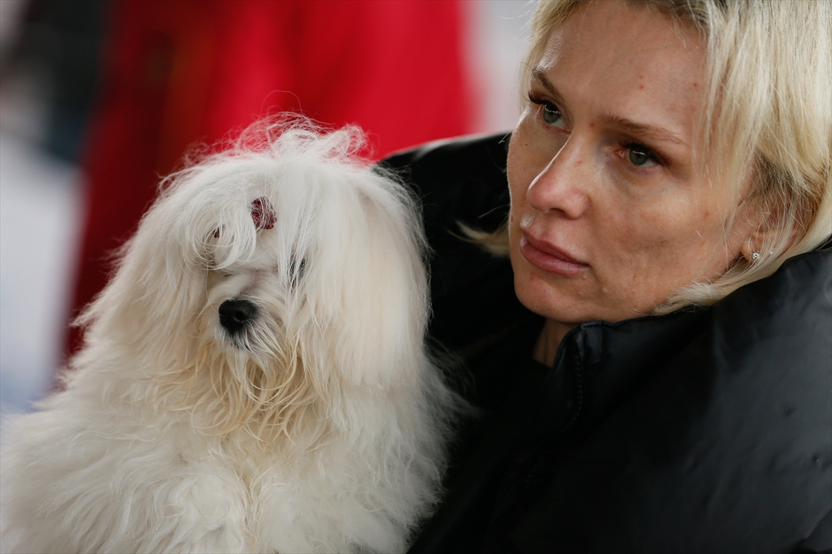 İzmir'de 'köpek ırkları' yarıştı