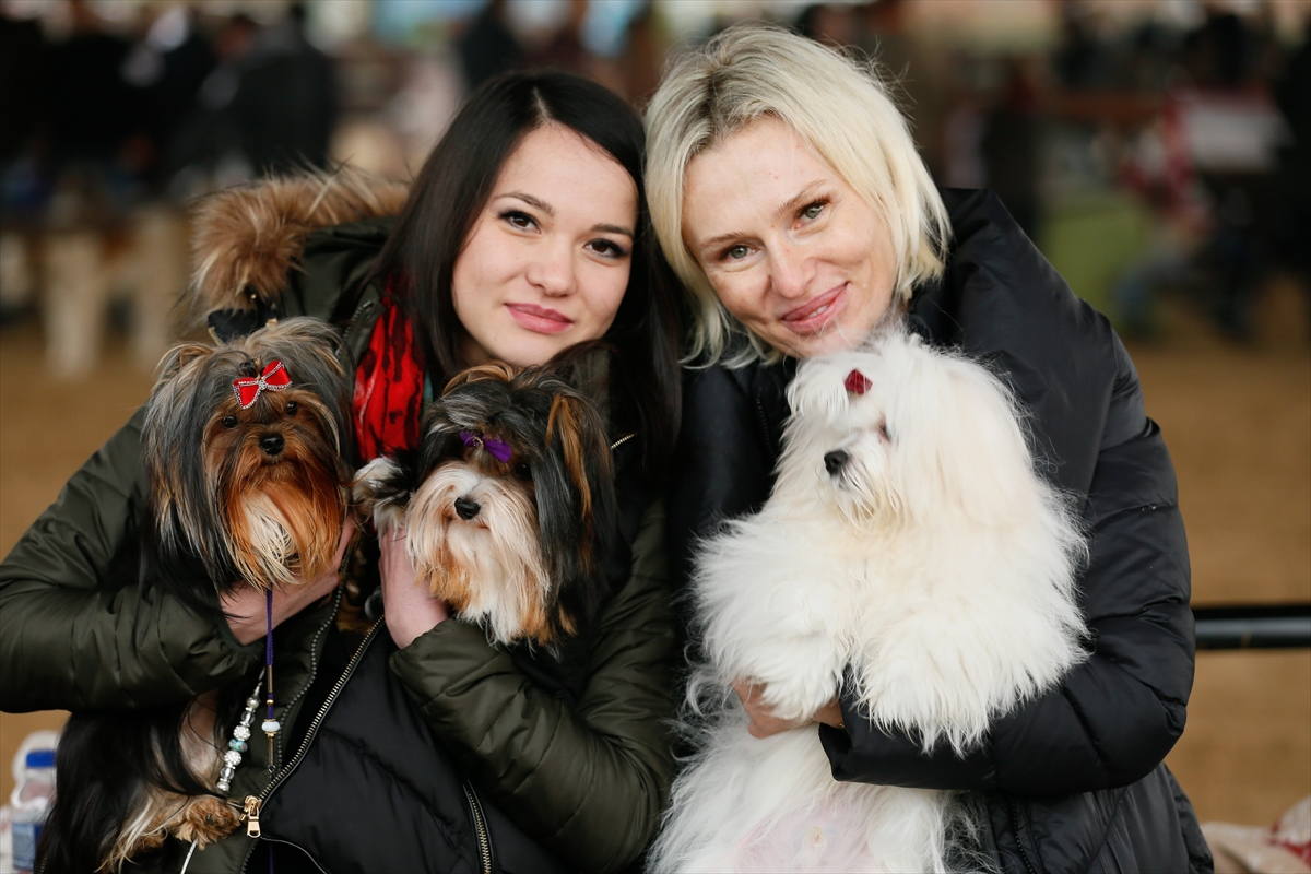 İzmir'de 'köpek ırkları' yarıştı