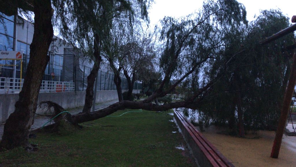 İzmir’de şiddetli lodos hayatı olumsuz etkiledi