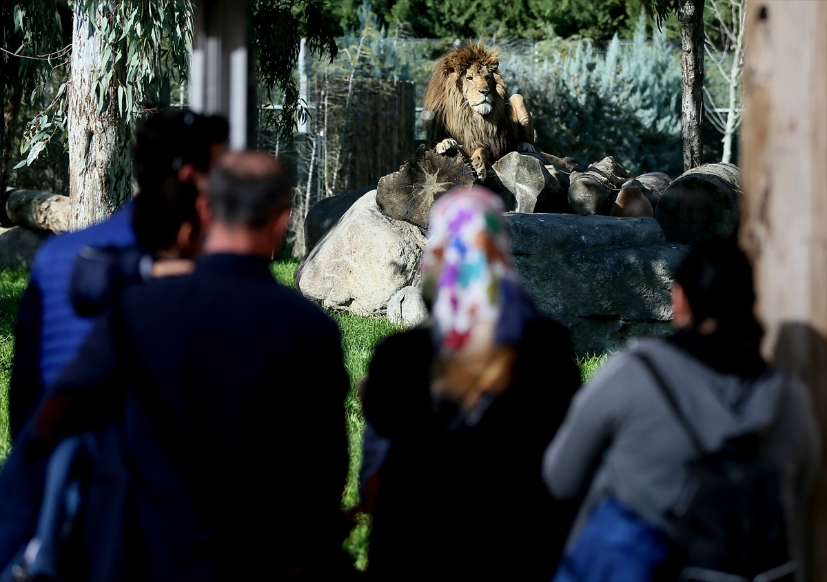 İzmir'de Doğal Yaşam Parkına ziyaretçi akını