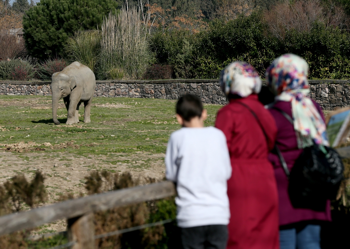 İzmir'de Doğal Yaşam Parkına ziyaretçi akını