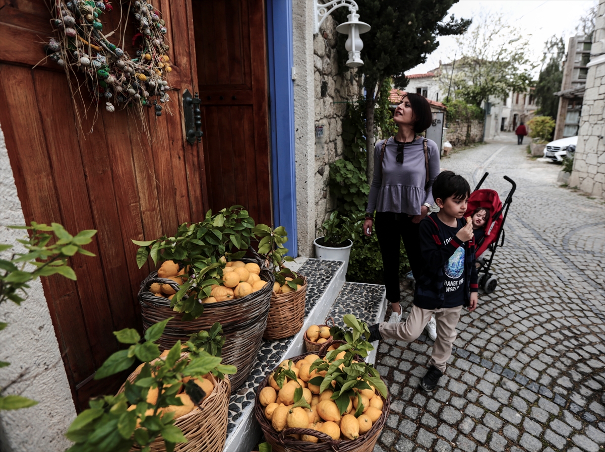 9. Alaçatı Ot Festivali'nden renkli görüntüler