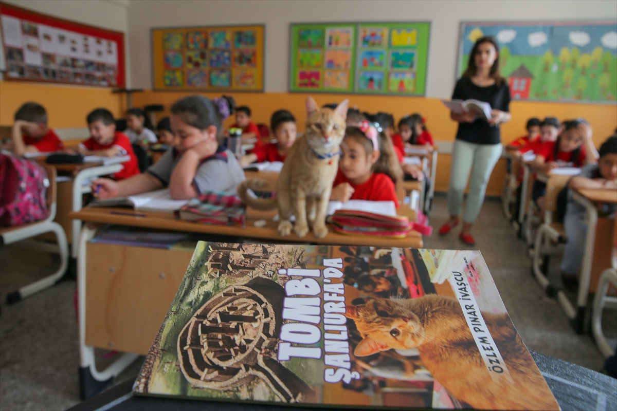 'Tombi' şimdi de kitap kahramanı oldu