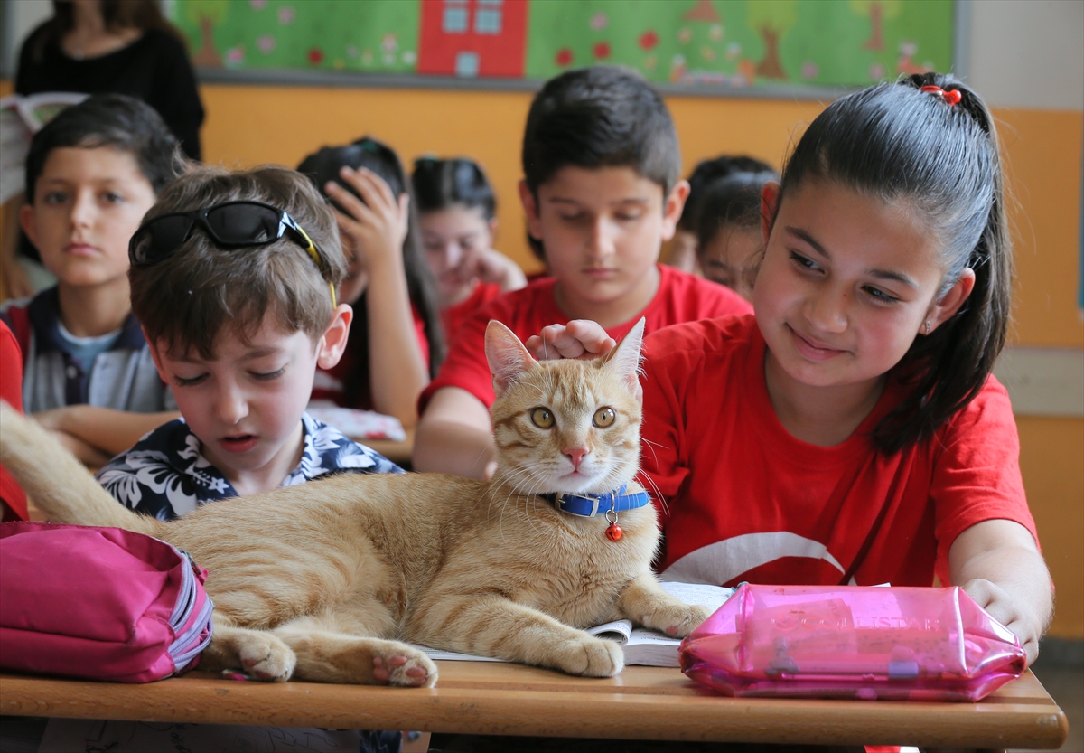 'Tombi' şimdi de kitap kahramanı oldu