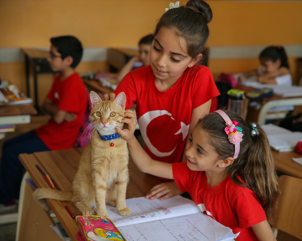 'Tombi' şimdi de kitap kahramanı oldu
