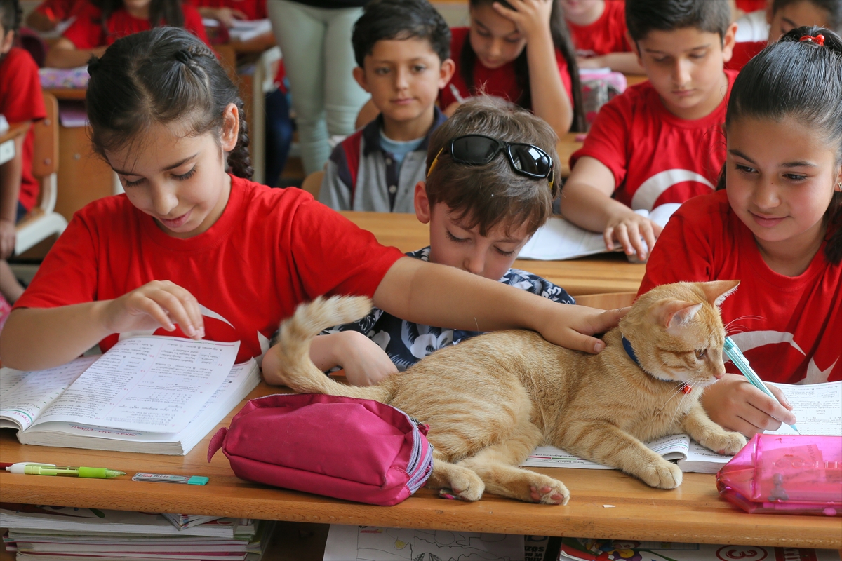 'Tombi' şimdi de kitap kahramanı oldu