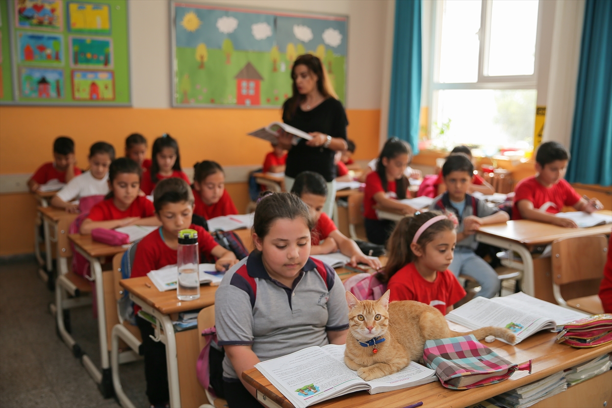 'Tombi' şimdi de kitap kahramanı oldu