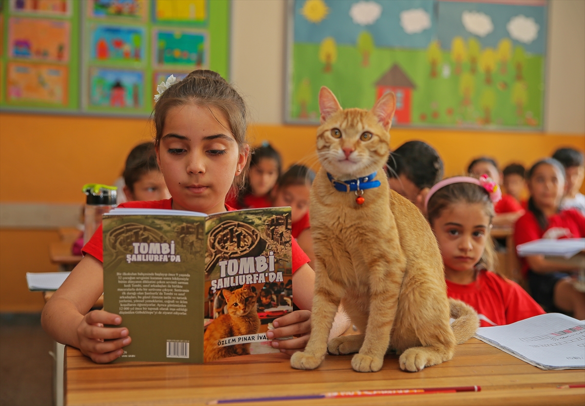 'Tombi' şimdi de kitap kahramanı oldu