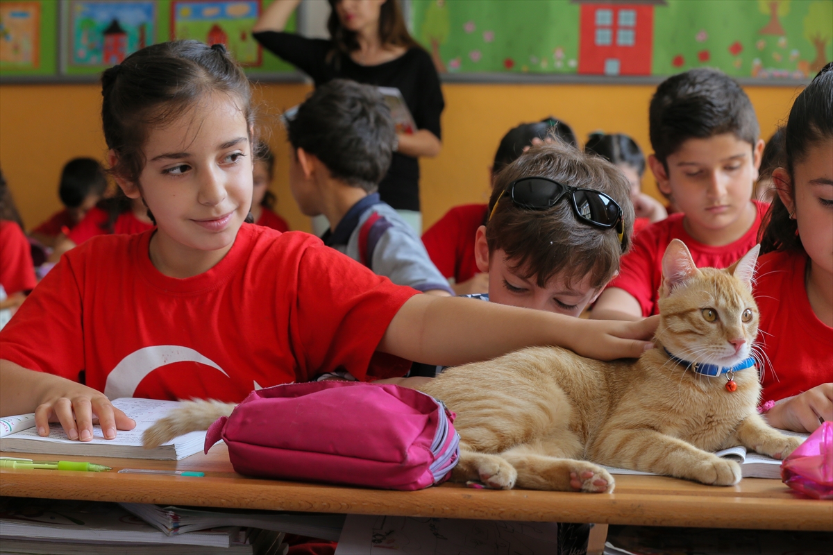 'Tombi' şimdi de kitap kahramanı oldu