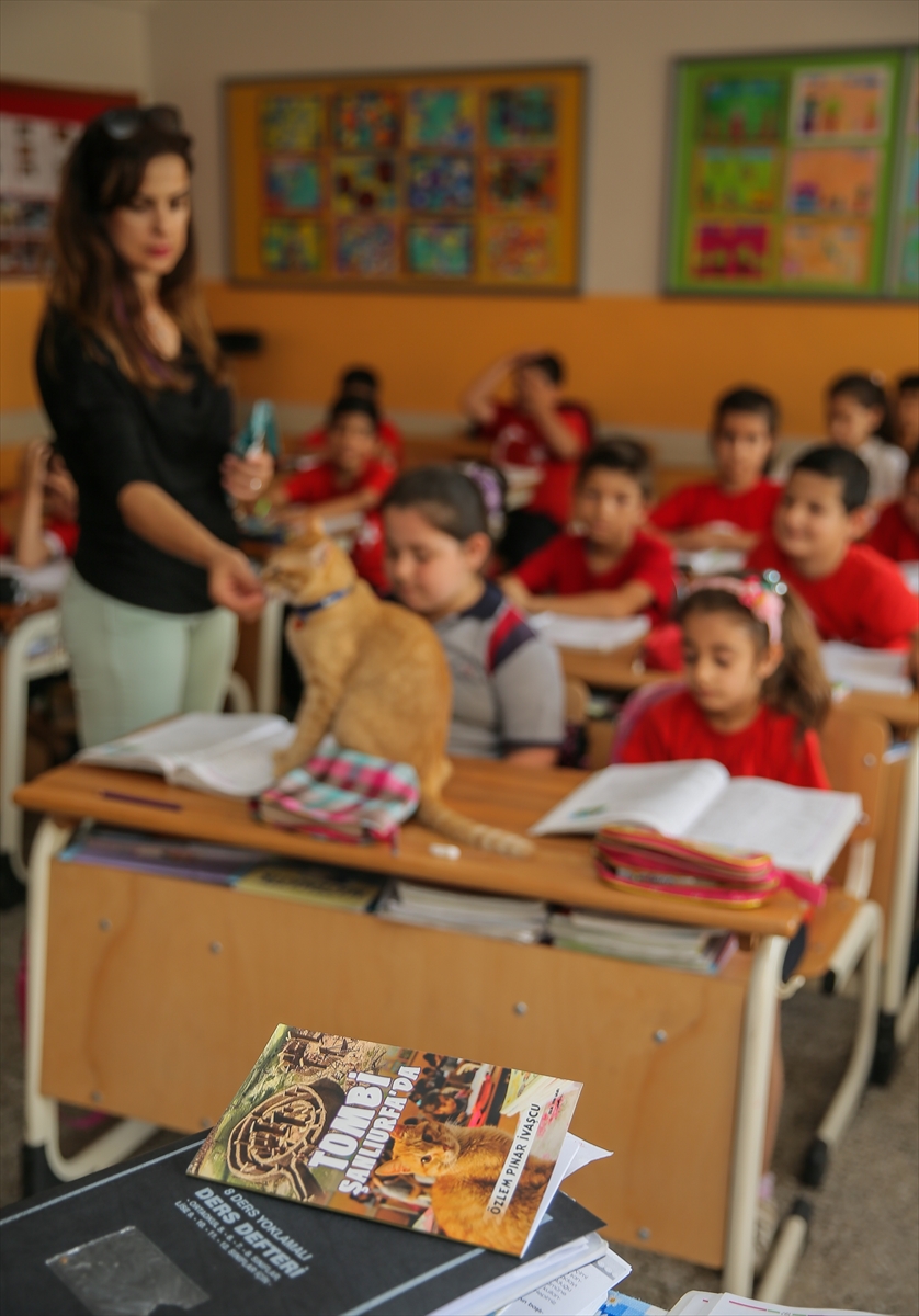 'Tombi' şimdi de kitap kahramanı oldu